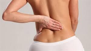 the causes of back pain